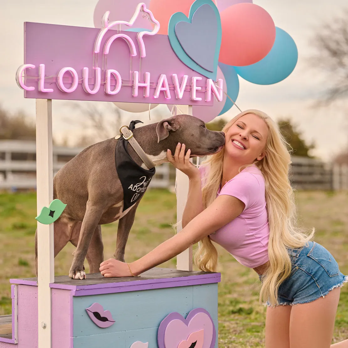 Cloud Haven Heavenly Baby Tee | Rainbow Graphic Crop Top Pink