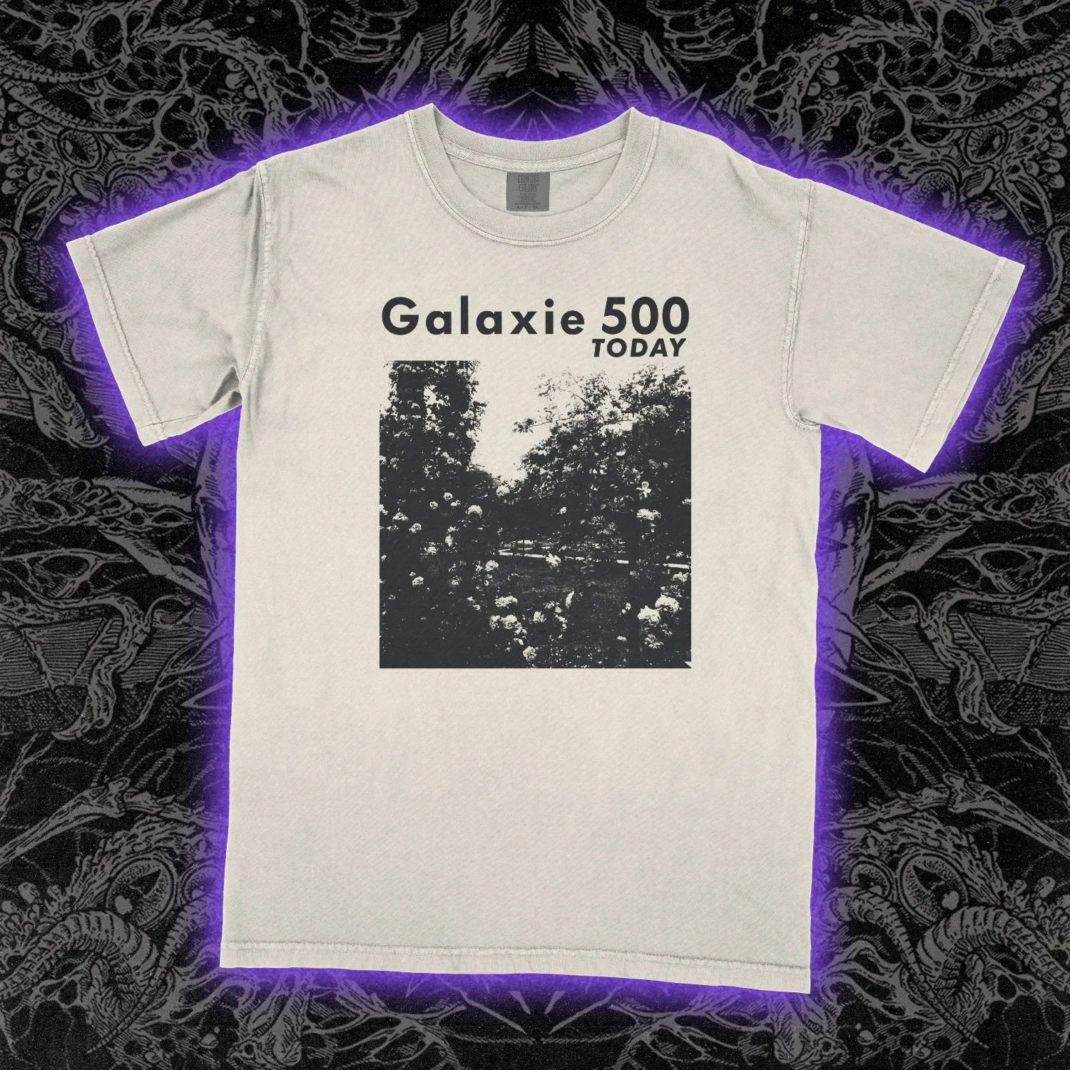 Galaxie 500 Today