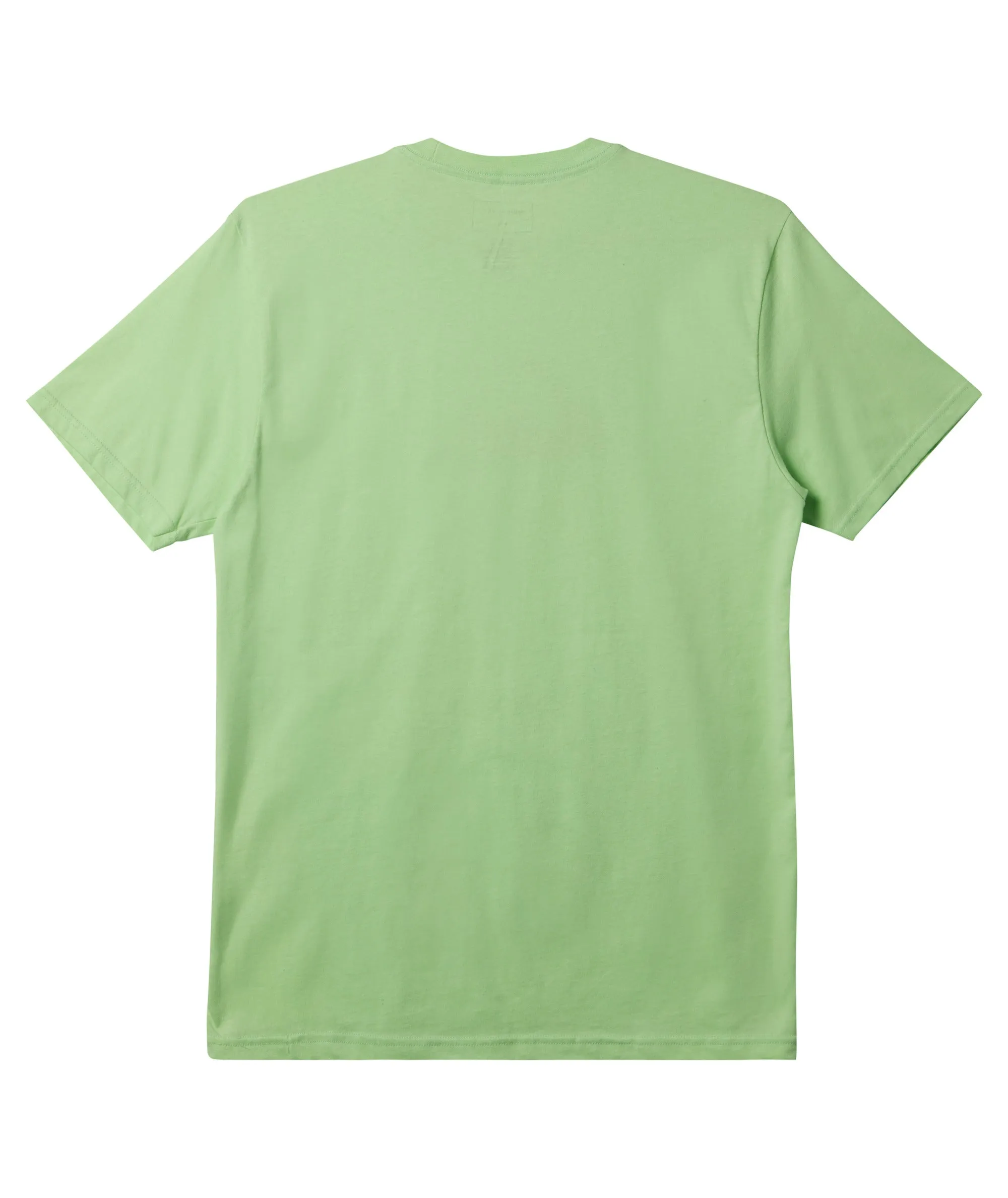 Quiksilver Comp Logo Tee-Paradise Green